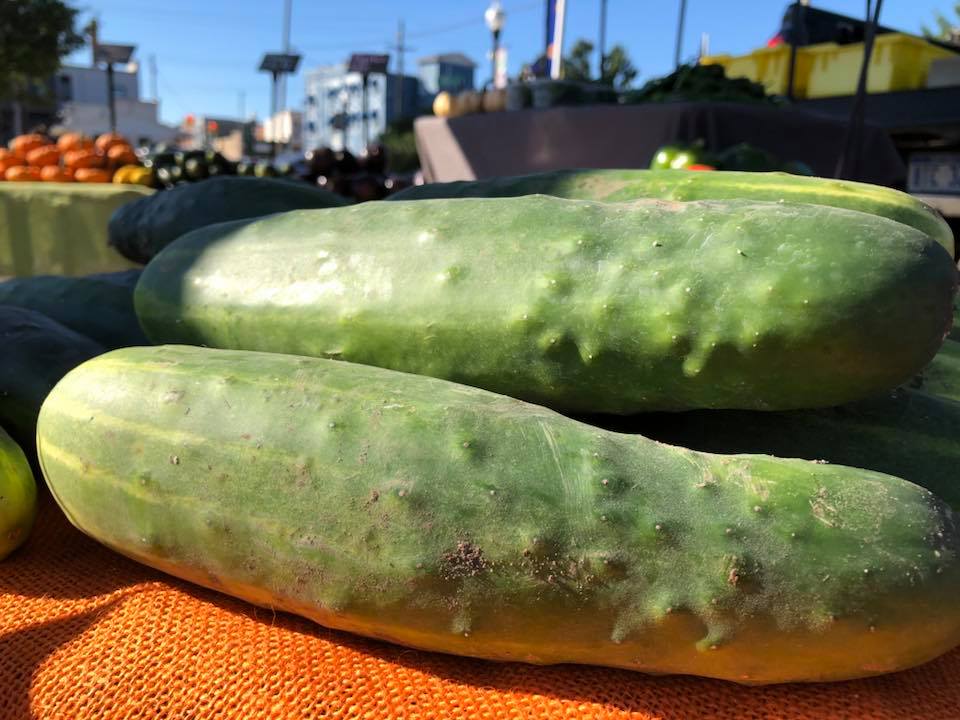 large cucumbers